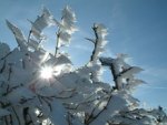 Winterurlaub im Schwarzwald