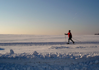 Langlauf im Schwarzwald