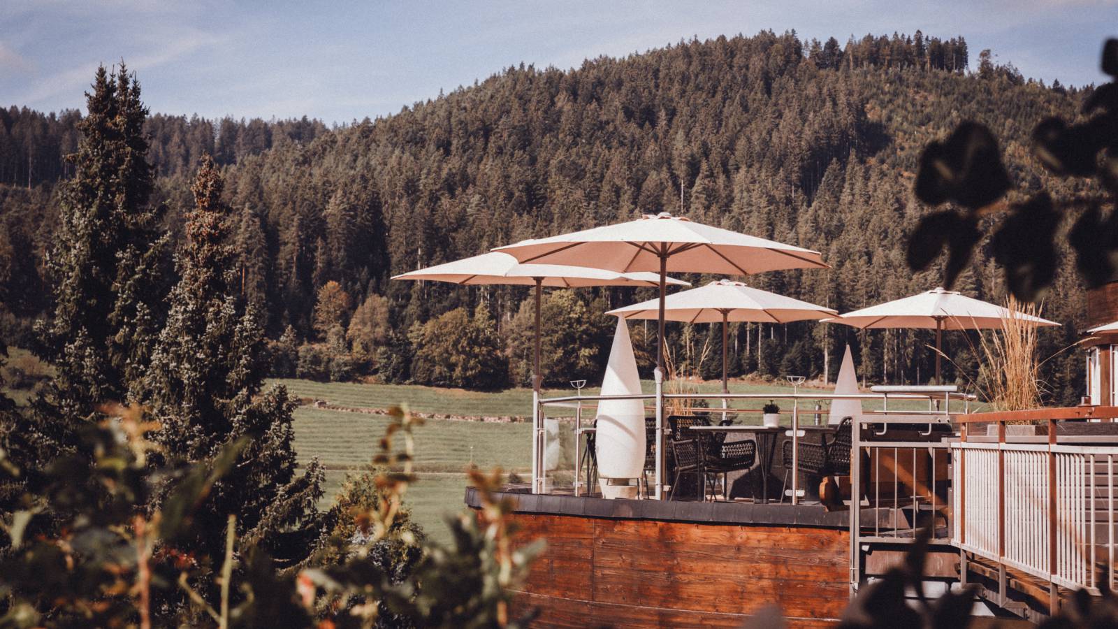 Weitblick und Natur mitten im Schwarzwald