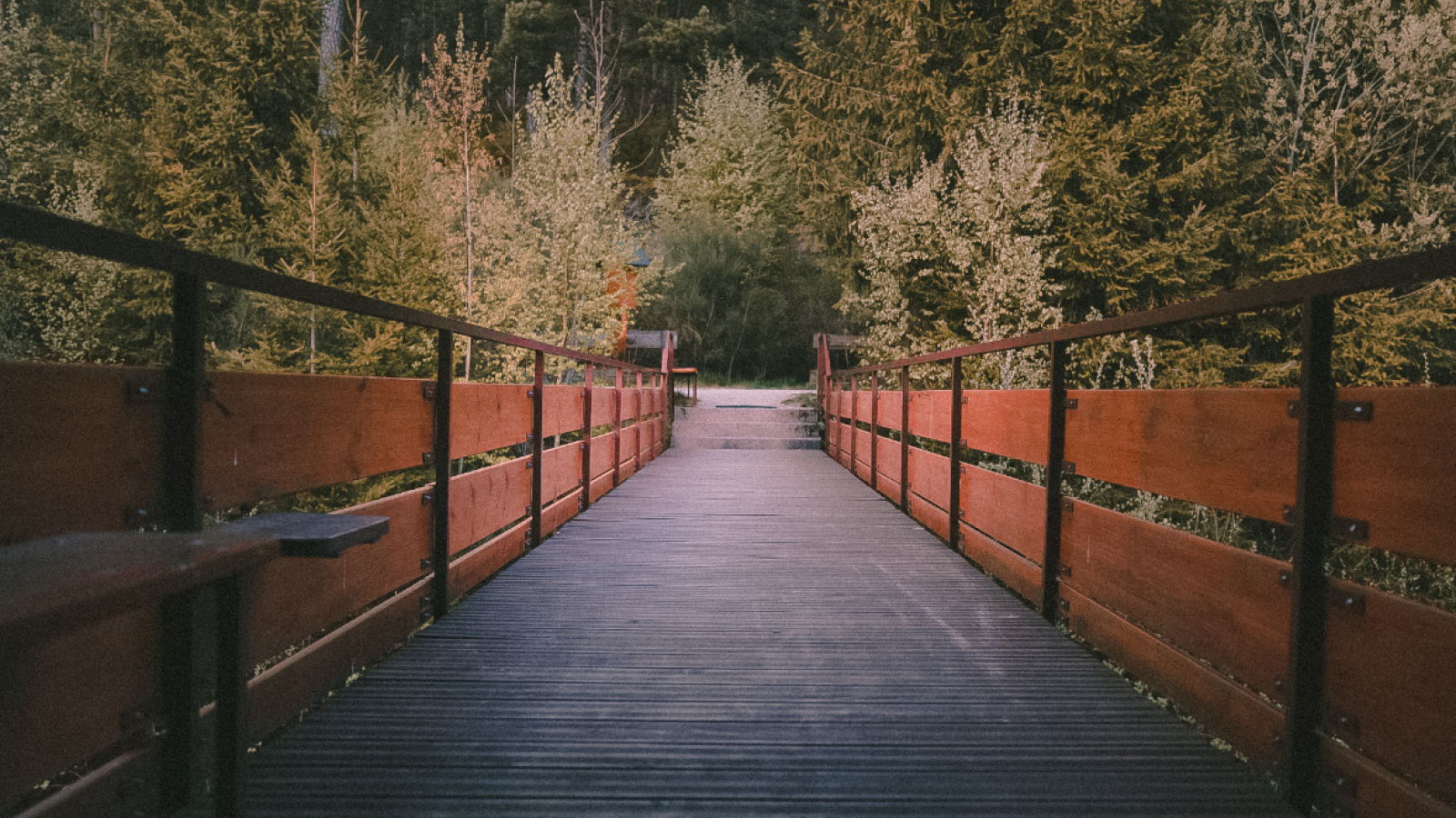Wanderwege im Schwarzwald vor der Haustür