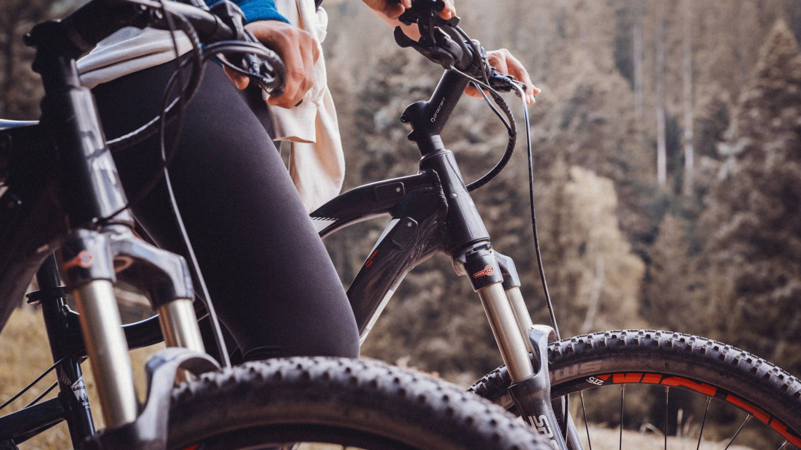 Mit dem E-Bike durch den Nationalpark