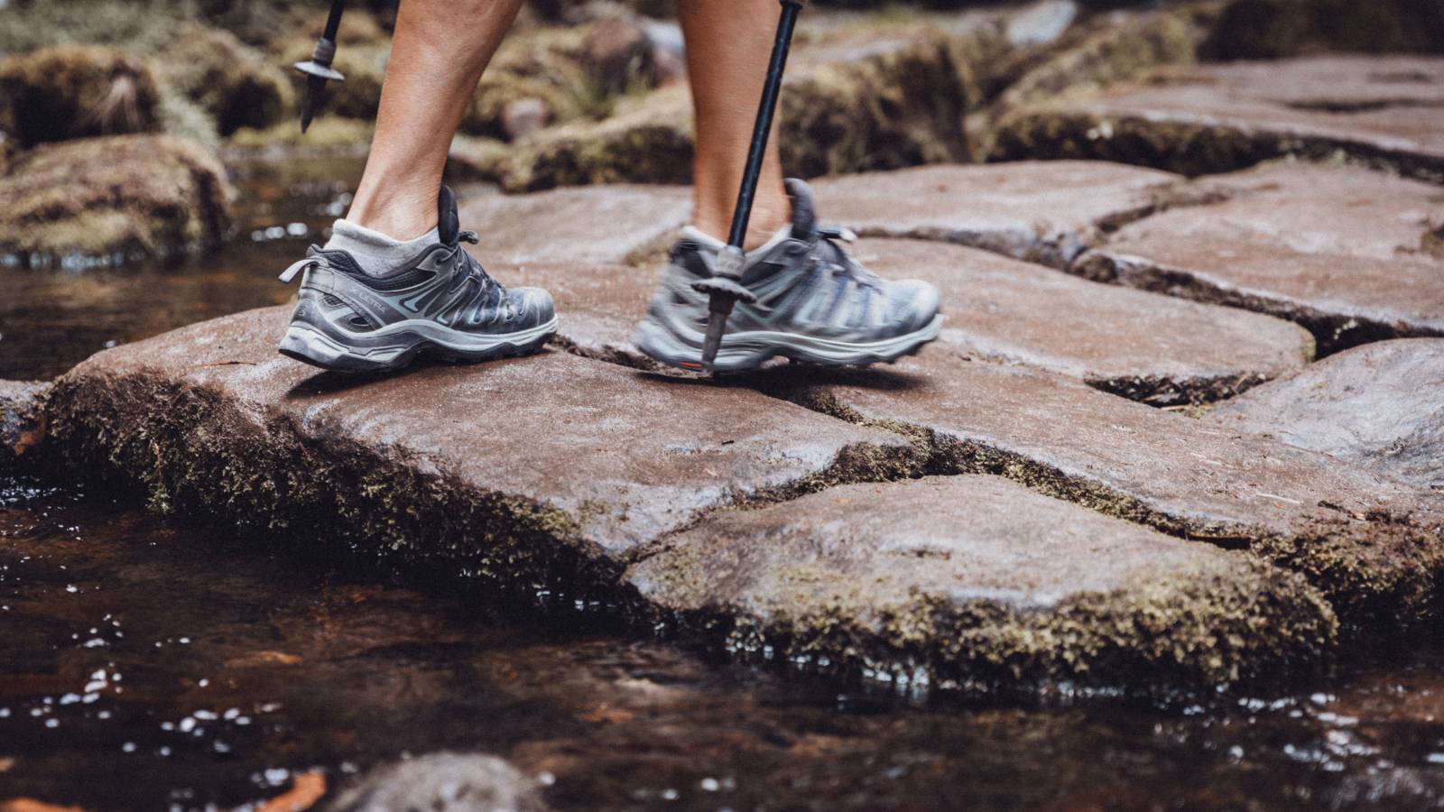 Wanderparadies Nordschwarzwald