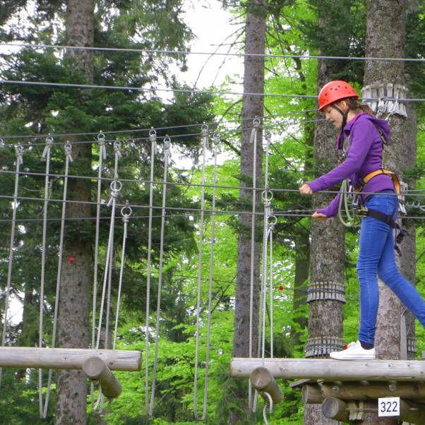 Foto vom Klettergarten Mehliskopf