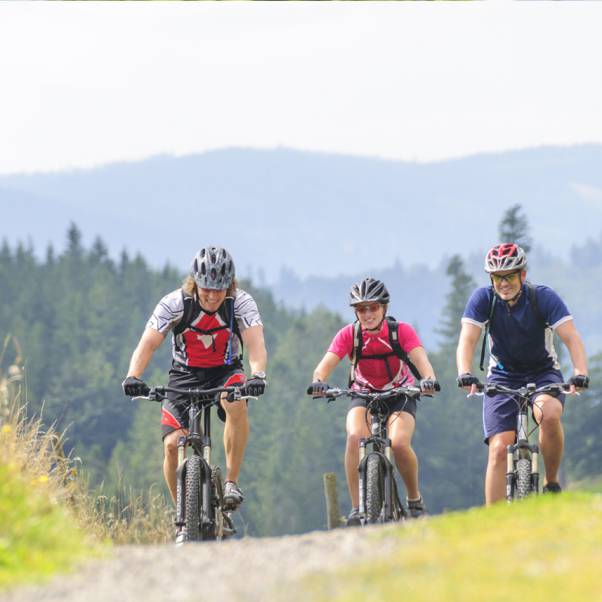 Mountainbiken Schwarzwald