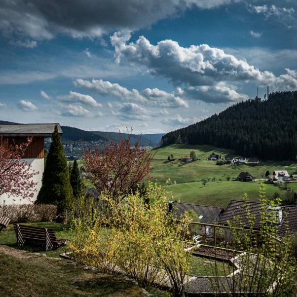 Ausblick ins Tonbachtal