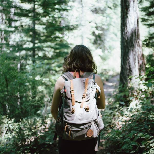 Wellness und Waldcoaching in der Sonnenhalde Tonbach