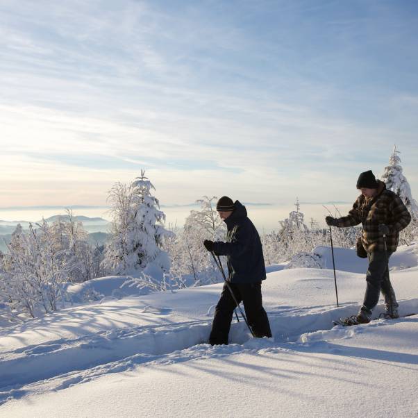 Winter in der Sonnenhalde