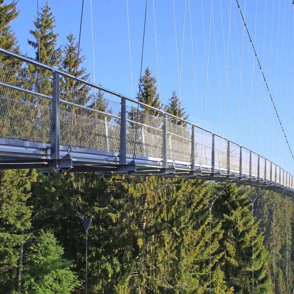 Hängebrücke Schwarzwald