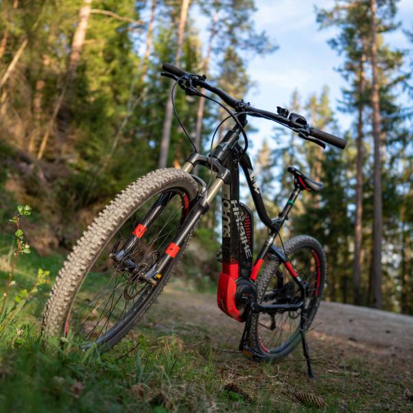 Fahrrad Wald Baiersbronn