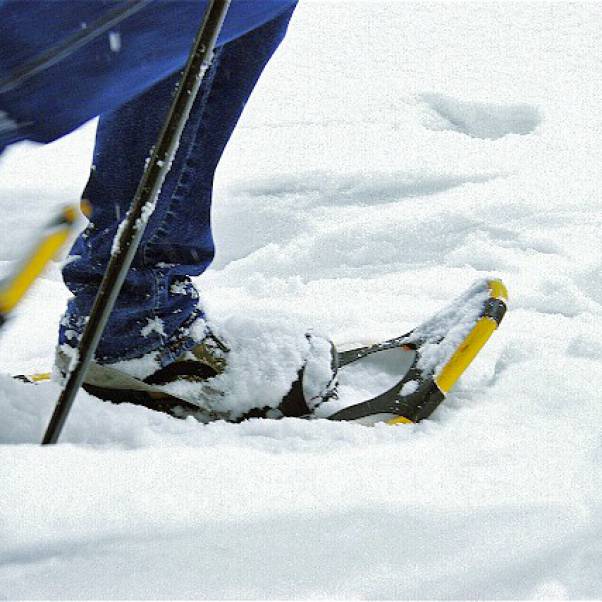 Schneeschuhwandern Schwarzwald Baiersbronn