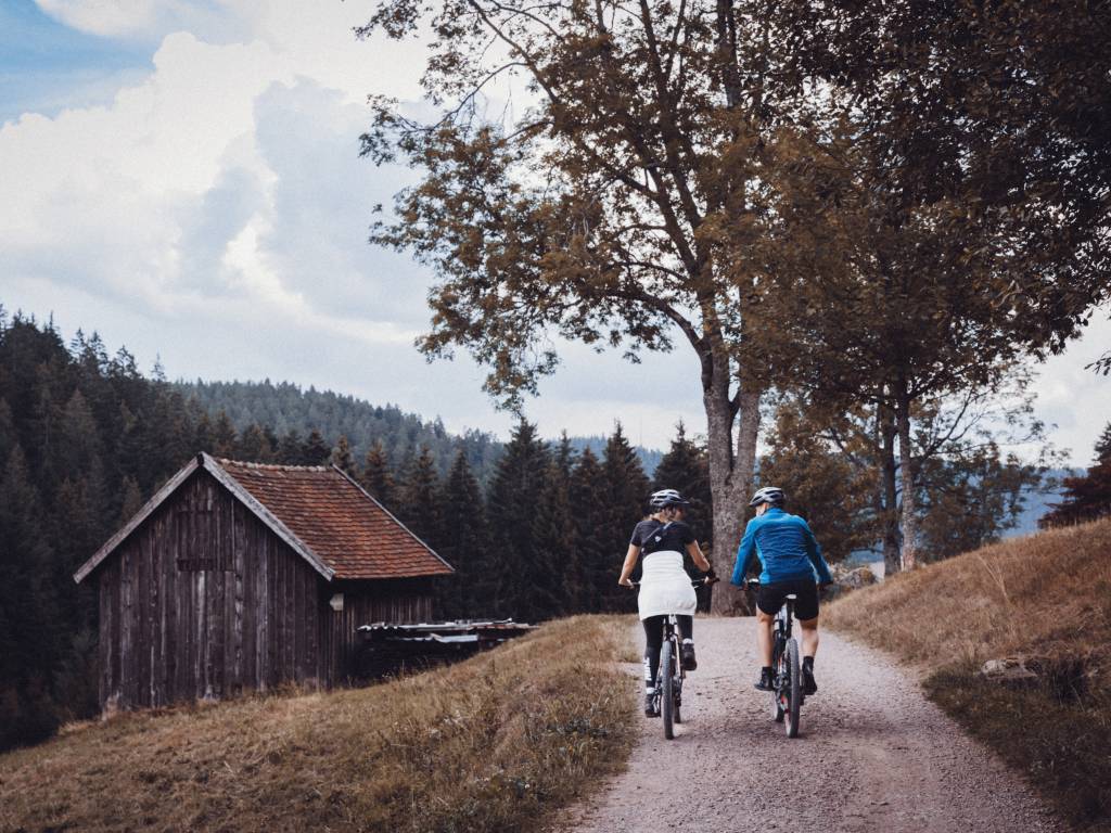 fahrrad schutzblech 27 5 zoll OUXI Set, Vorderradund Hinterrad Schutzblech, Universal FahrradschutzblechTragbar Verstellbar, für alle Mountainbike/Road Bike/MTB, Passend für die Größen 24/25/26/27,5/28 Sport & Freizeit model_number:w-hightrail-wp-15740 Variants:#3 8g 02 - Copper Kind, Alter 3 Jahre