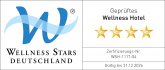Logo Wellness Stars